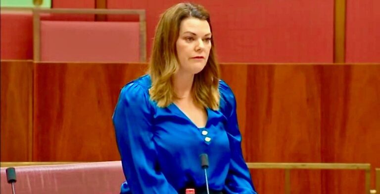 Hanson-Young, Building dams does not make it rain or create more water