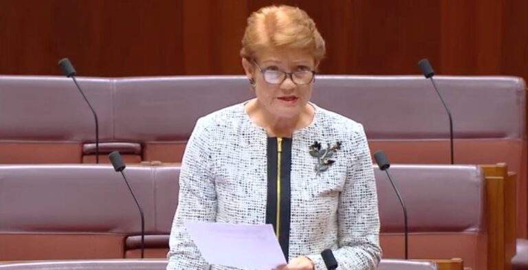 Hanson: We do not want migrants to return to Australia in the same numbers