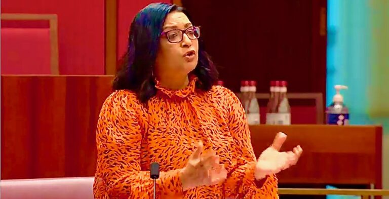 Faruqi’ We must bring our aid back up to at least meet the UN’s target