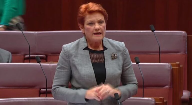 Hanson: Palaszczuk allowing activists to breach COVID-19.