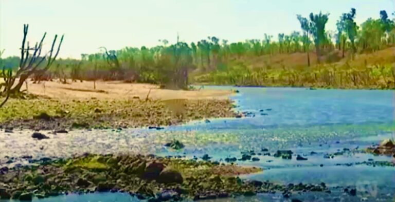 Water from Rookwood Weir will be allocated for Central Queensland farmers