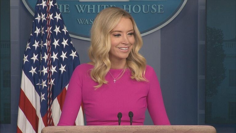 White House Press Briefing by Press Secretary McEnany 20/8/20