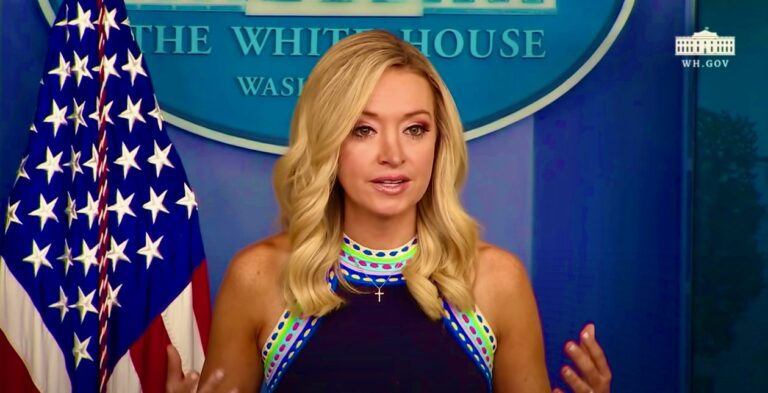 McEnany The radicals are in control of the Democrat Party. Make no mistake