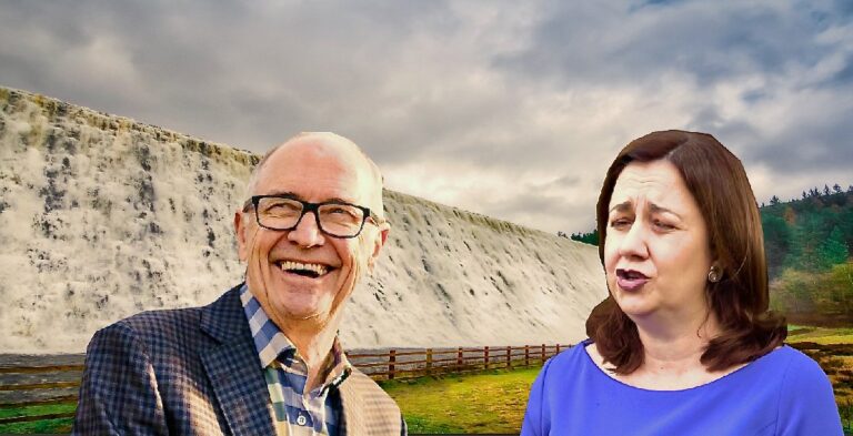 Garnaut will conduct a comprehensive government examination of the Bradfield scheme.