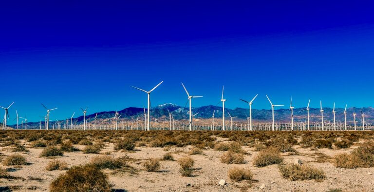 Wind turbines take a terrible toll on birds