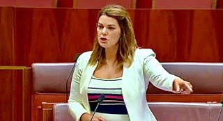 Hanson Young gobsmacked dodgy deal done Senate today