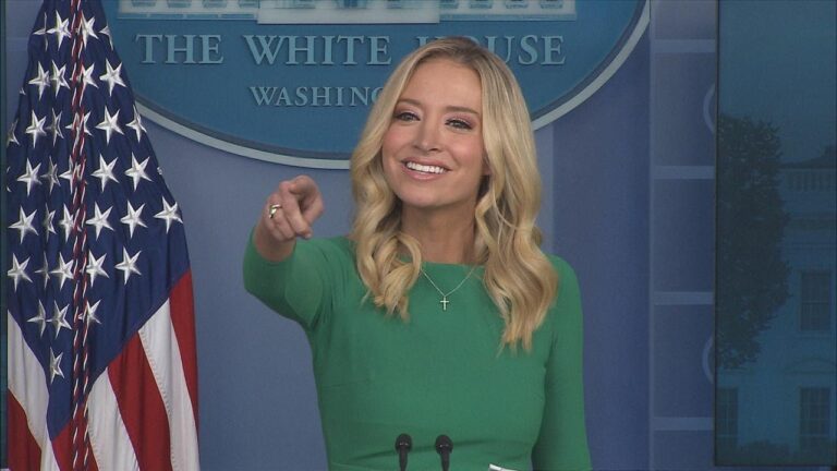 Kayleigh McEnany, The President has been very clear he wants every legal vote to be counted