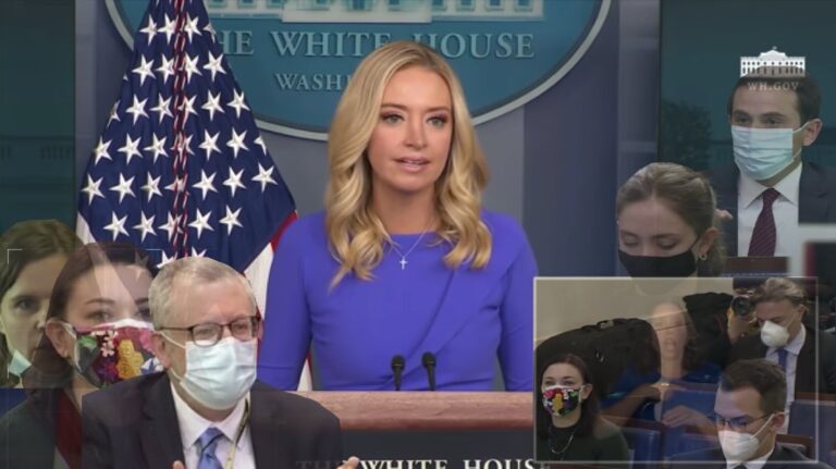 Kayleigh McEnany Shuts the Fake Media up