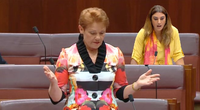 Hanson comments on Cashless Welfare Card, Outrage from Greens Senator Thorpe