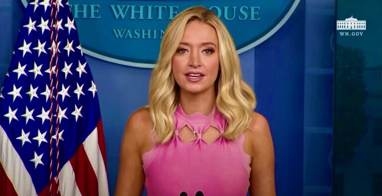 McEnany Constitution matters even during a pandemic.