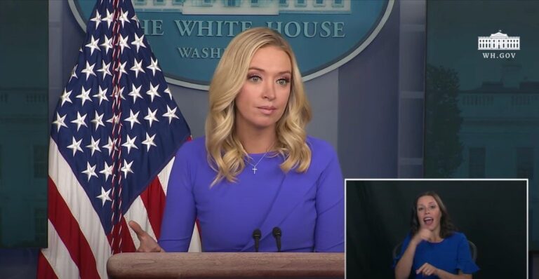 Press Secretary McEnany Holds a Press Briefing with the annoying media