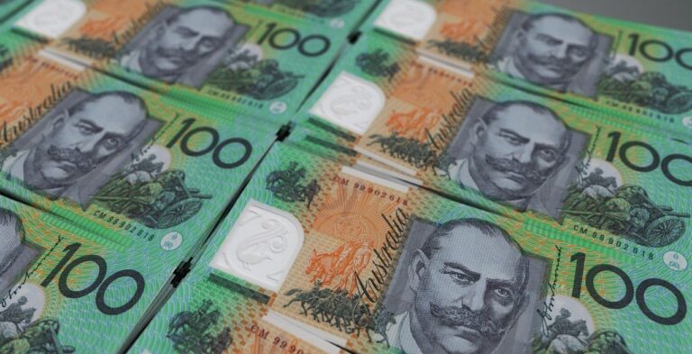 Services Australia Economic Support $250 Payment in March