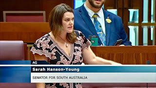 Hanson Young, ScoMo fraud of a plan is going to cook the planet