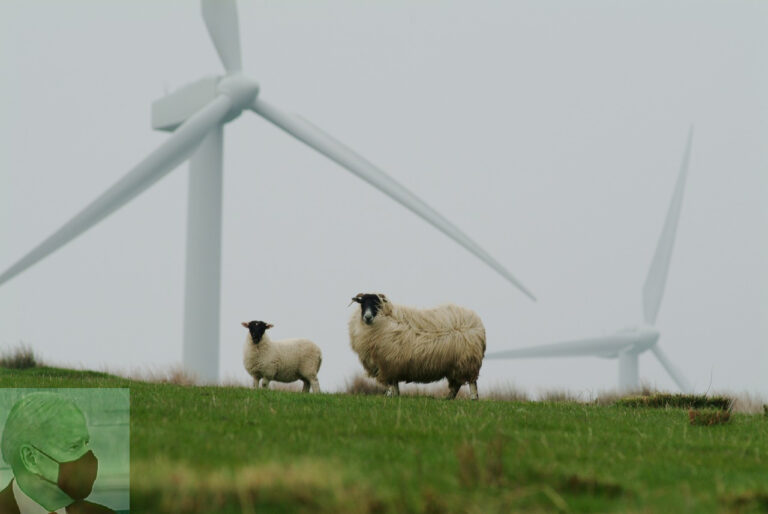 Palaszczuk, Queensland leaders to scope Biden Climate summit