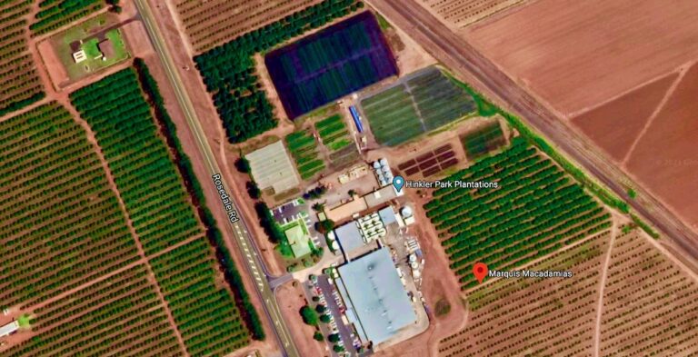 World’s largest macadamia processor will expand its Bundaberg facility