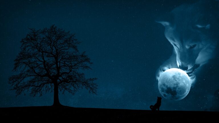 Elon Musk SpaceX is going to put a literal Dogecoin on the literal moon