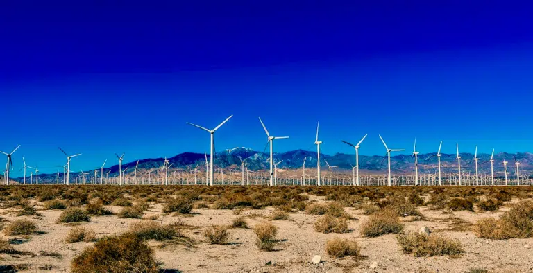 COP 26: Radicals lose on every issue!