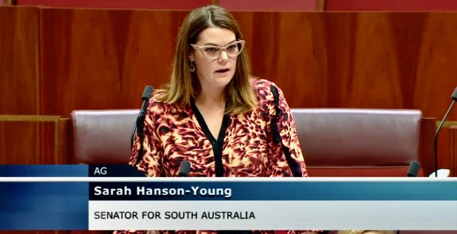 Hanson Young, Billions of dollars are going towards dirty fossil fuels