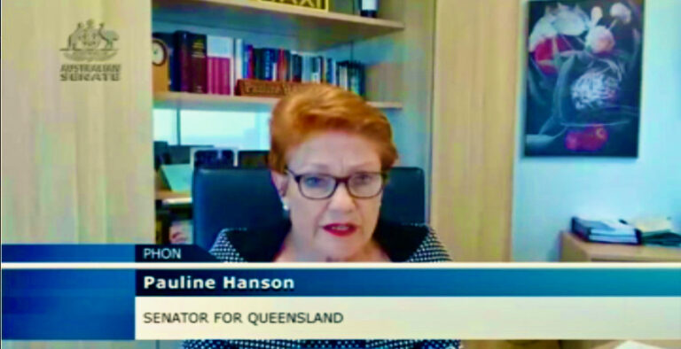 Pauline Hanson, Racist campaigns promoting Indigenous voice to parliament