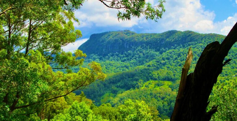 Partnership expands iconic Gold Coast Hinterland national parks