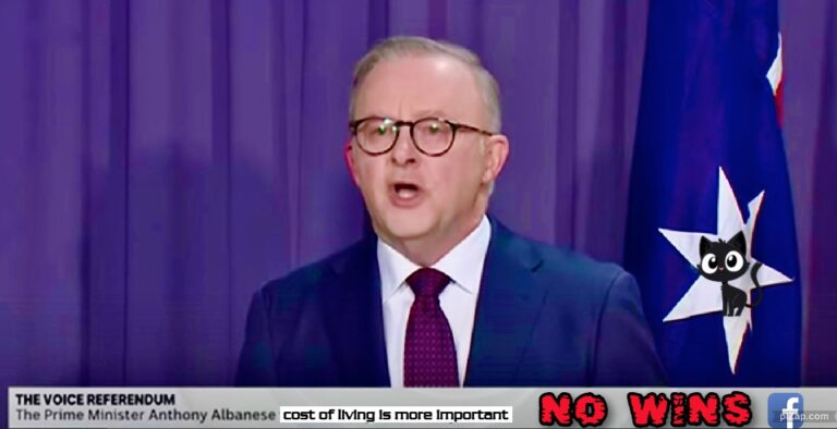 Anthony Albanese had good motives but his referendum has done much harm
