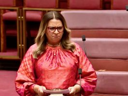 Senator Mehreen Faruqi in the Senate Australia